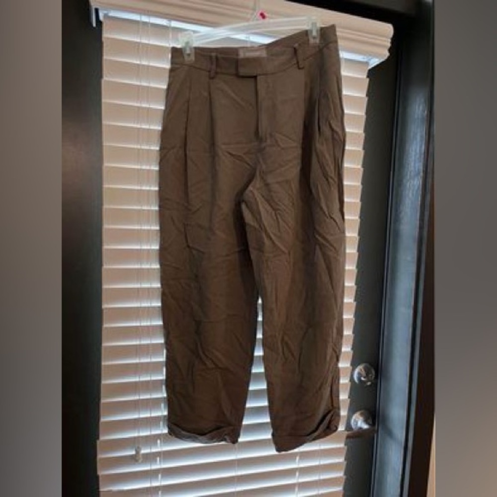 Everlane Pleated Pants